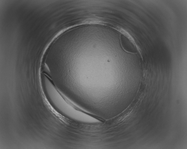 X0000082940947200702222243