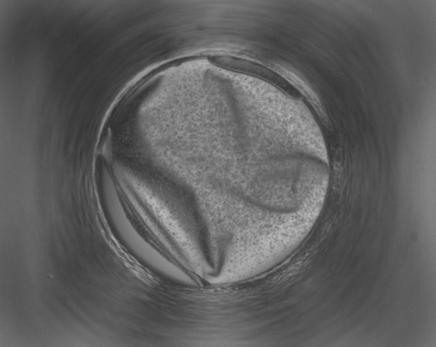 X0000082940948200702222243