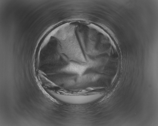 X0000082940949200702222243