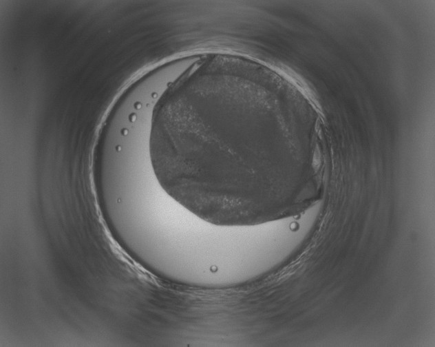 X0000082940950200702222243