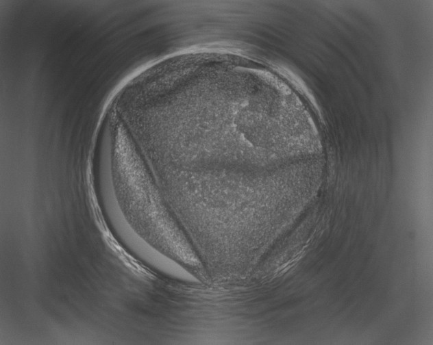 X0000082940952200702222243