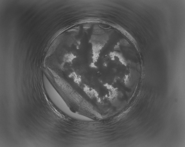 X0000082940953200702222243