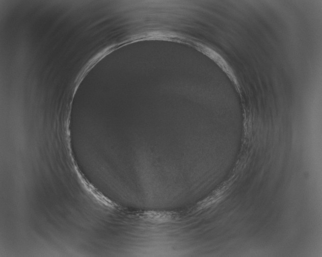 X0000082940954200702222243