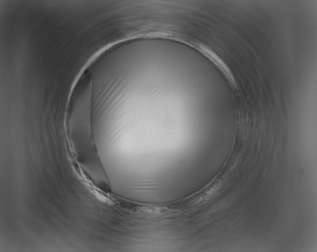 X0000082940956200702222243