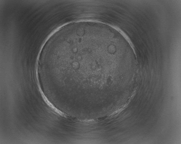 X0000082940957200702222243