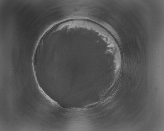 X0000082940958200702222243