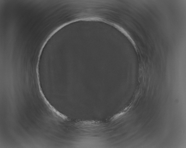 X0000082940959200702222243