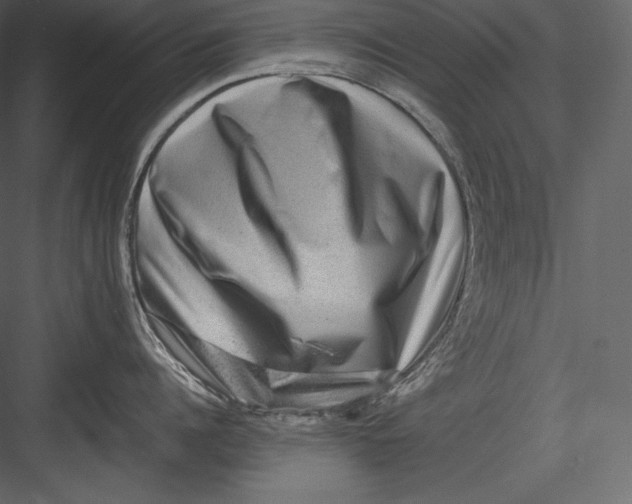 X0000082940960200702222243