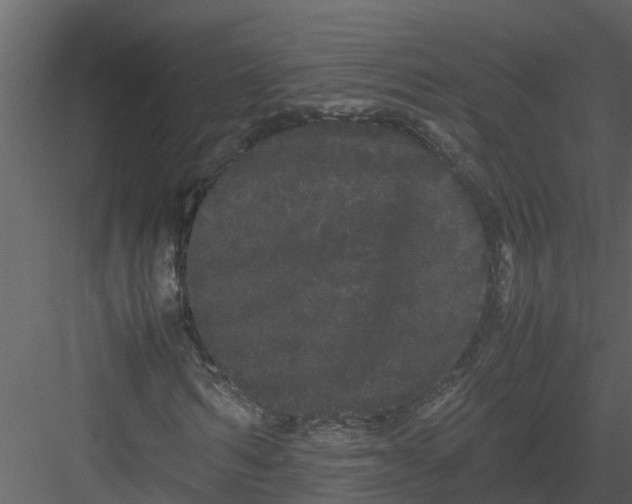 X0000082940962200702222242