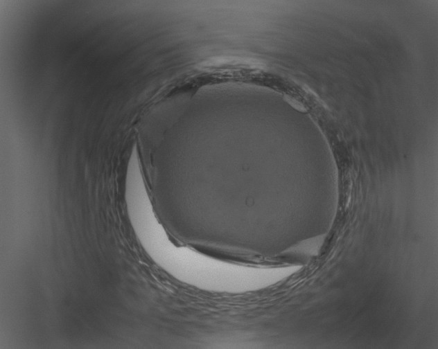 X0000082940965200702222242