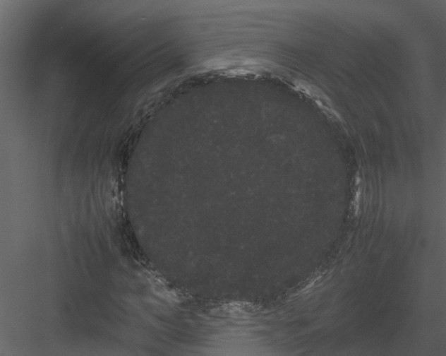 X0000082940966200702222242