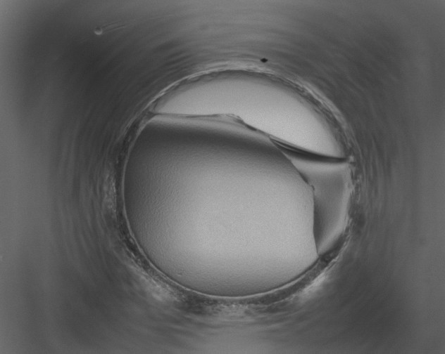 X0000082940969200702222242