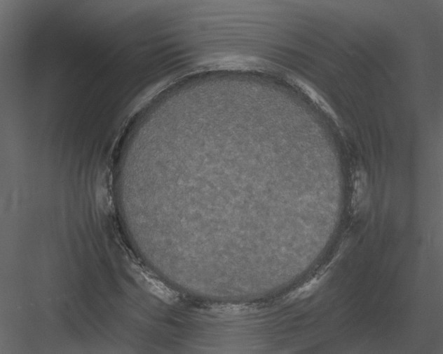 X0000082940970200702222242