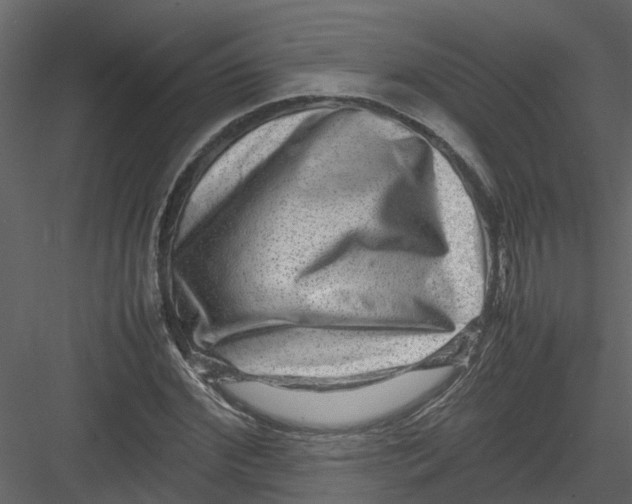 X0000082940972200702222242