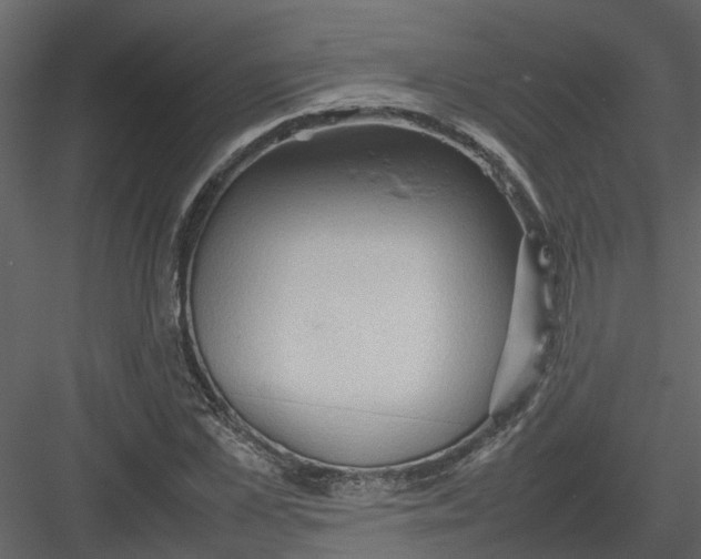 X0000082940973200702222242