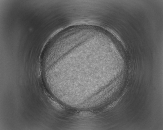 X0000082940974200702222242