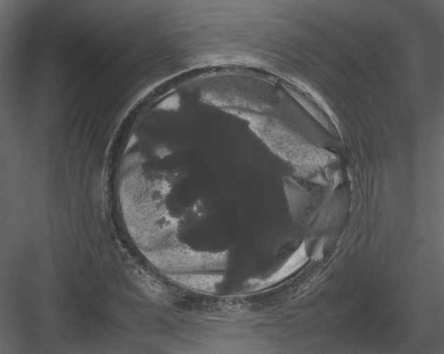 X0000082940975200702222242