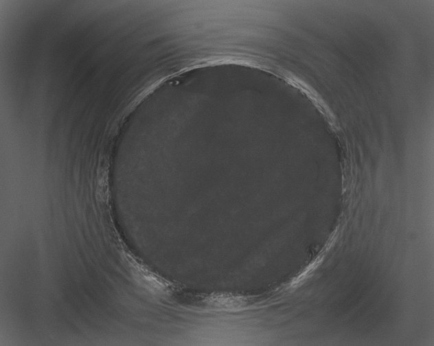 X0000082940977200702222242