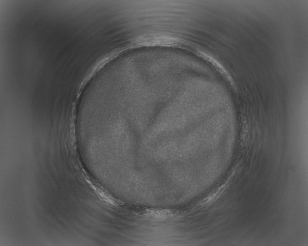 X0000082940978200702222242