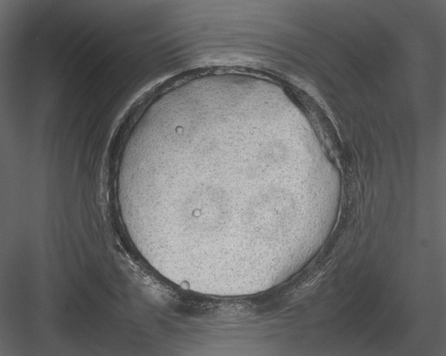 X0000082940979200702222242