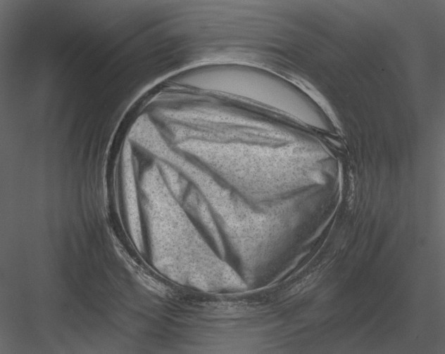 X0000082940980200702222242