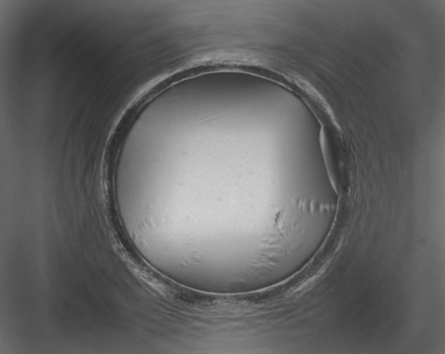 X0000082940981200702222242