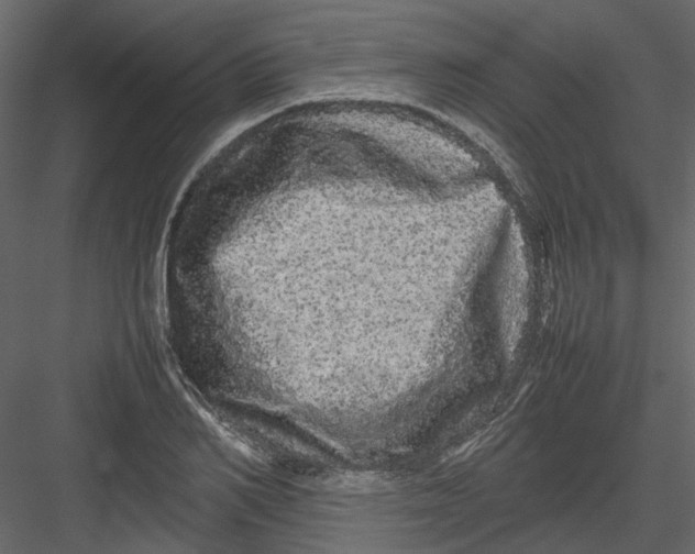 X0000082940982200702222242