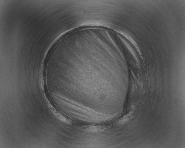 X0000082940984200702222242