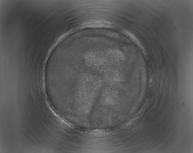 X0000082940986200702222242