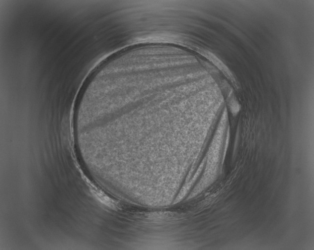 X0000082940988200702222242