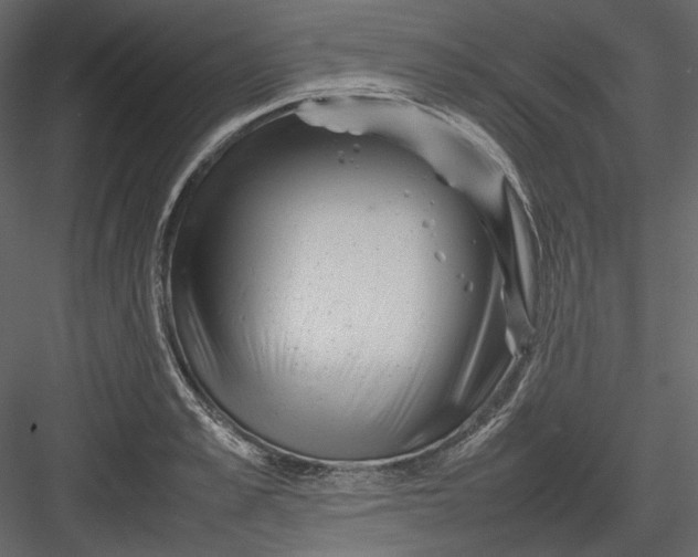 X0000082940989200702222242