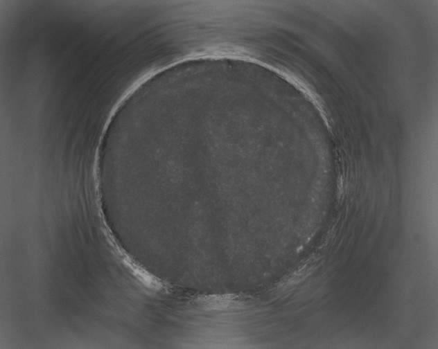 X0000082940990200702222242