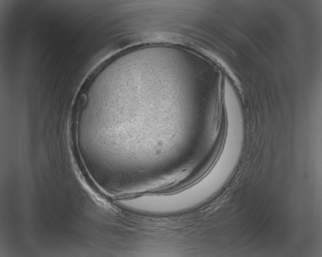 X0000082940991200702222242