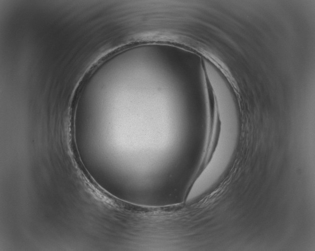 X0000082940992200702222242