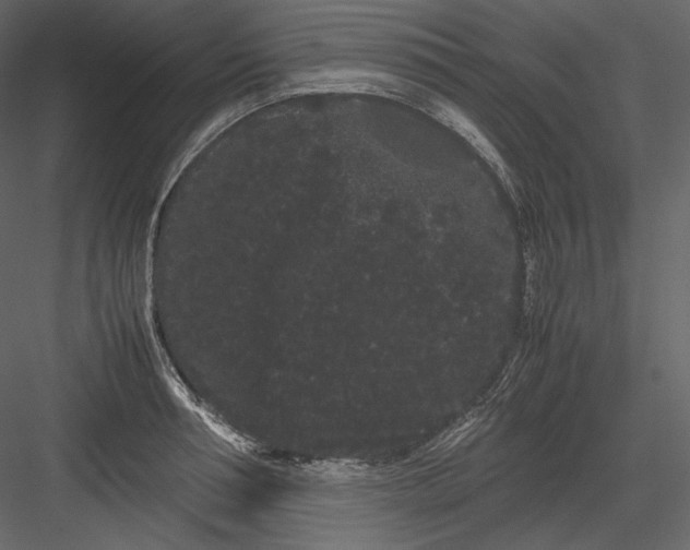 X0000082940994200702222242