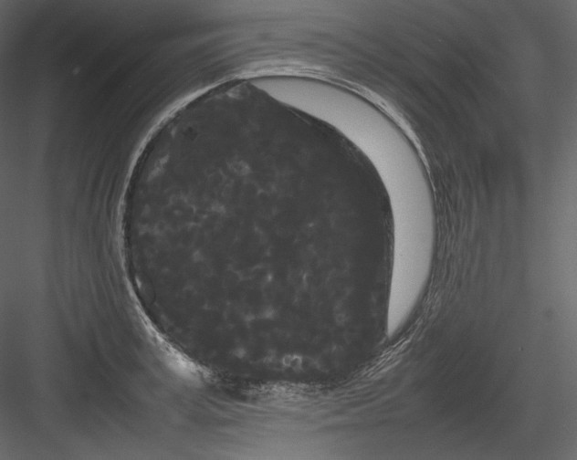 X0000082940995200702222242