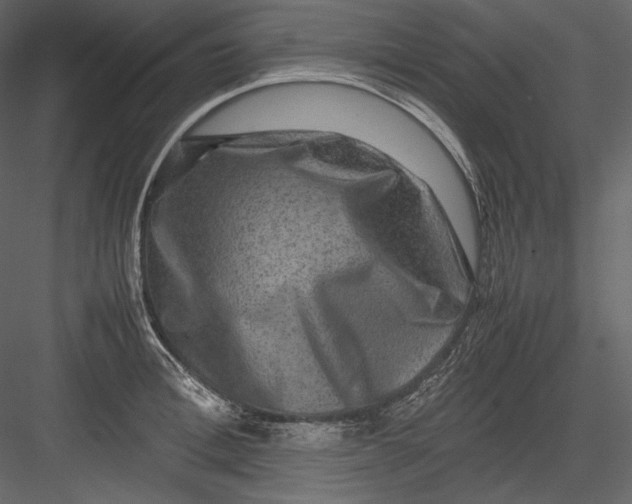 X0000082940996200702222242