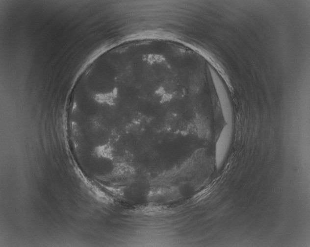 X0000082940998200702222242