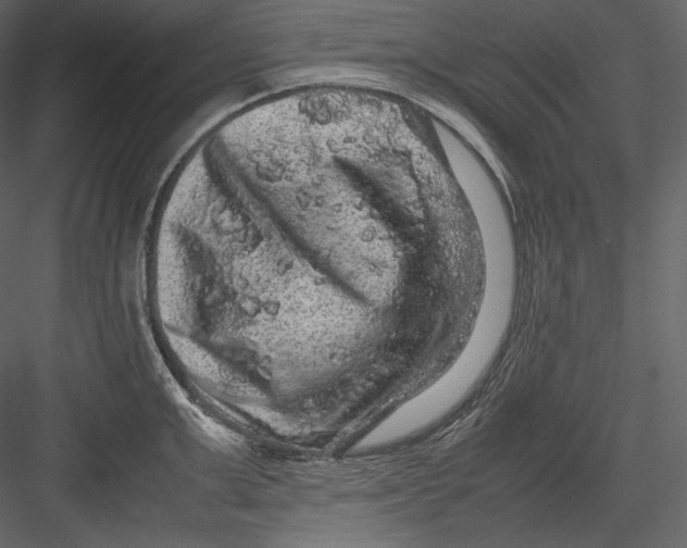 X0000082940999200702222242