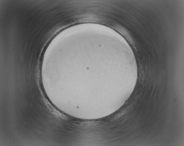 X0000082941000200702222242