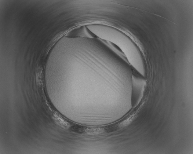 X0000082941001200702222242