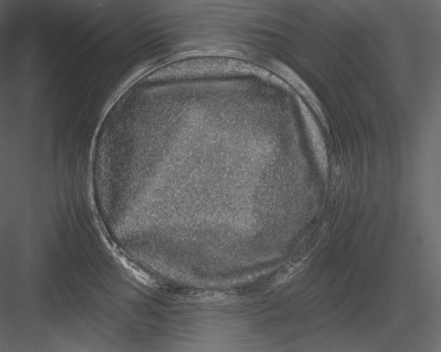 X0000082941002200702222242