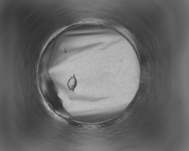 X0000082941003200702222242