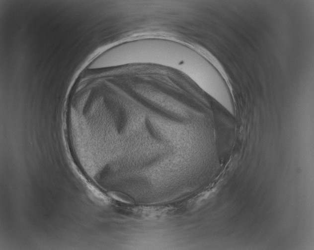 X0000082941005200702222242