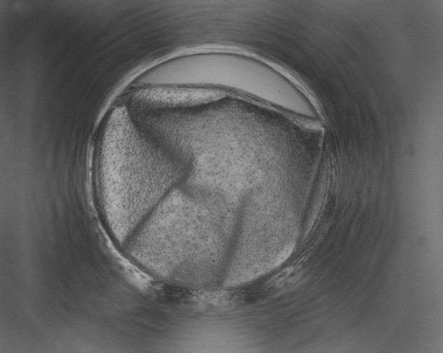 X0000082941006200702222242