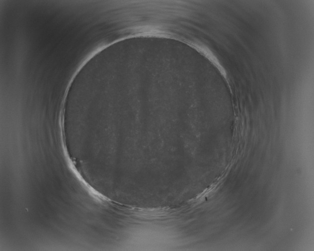 X0000082941007200702222242