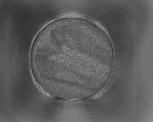 X0000082941008200702222242