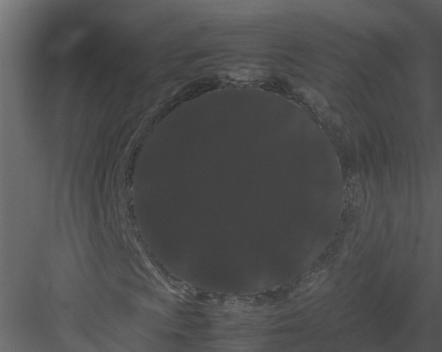 X0000082941009200702222241