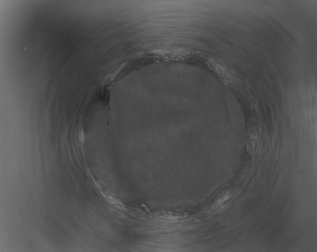 X0000082941010200702222241