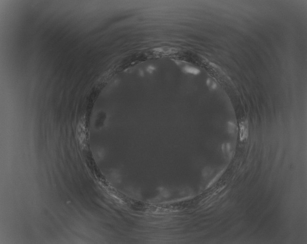 X0000082941011200702222241